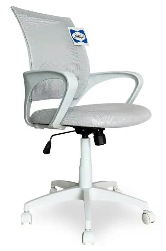 Sealy Raven 25.2 Adjustable Ergonomic Office Chair with Mesh Padding